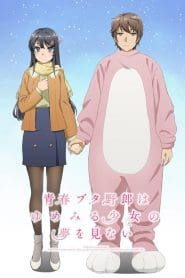 Seishun Buta Yarou wa Bunny Girl Senpai no Yume wo Minai – Movie (Rascal Does Not Dream of a Dreaming Girl) – Película
