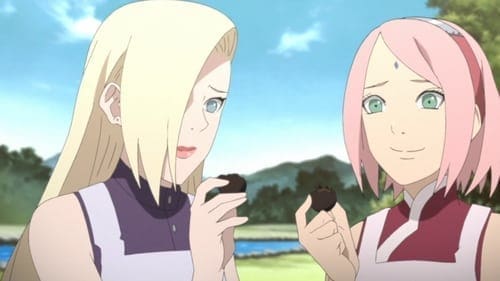 Naruto Shippuden: 20×496