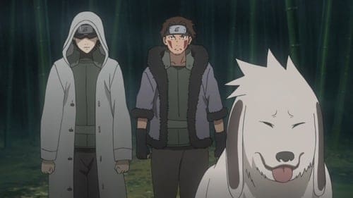 Naruto Shippuden: 20×498